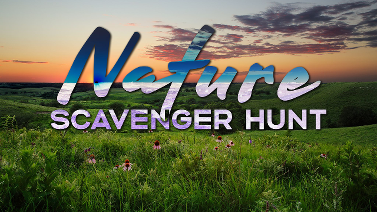 Nature Scavenger Hunt image number 0